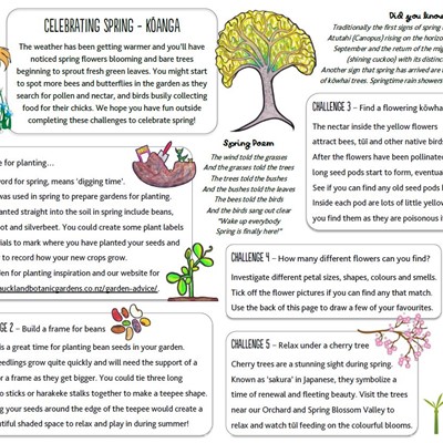 Celebrating spring kids activity sheet