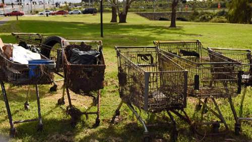 Puhinui clean up 2016.jpg