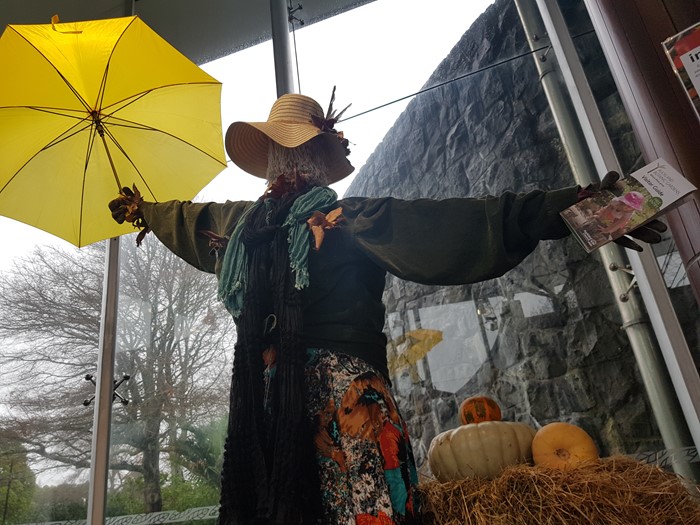 Autumn scarecrow in VC
