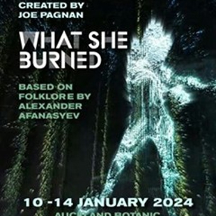 Theatre installation - What She Burned image
