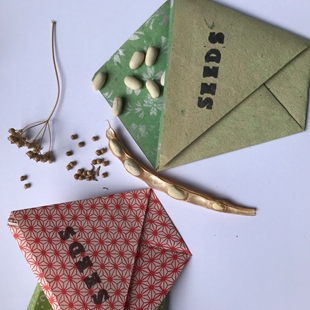 Winter school holidays - Make an origami seed packet image