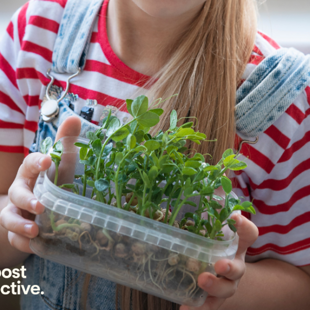 Microgreens for Kids image