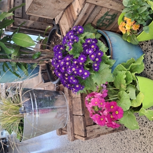 Getting the best from your Container Garden image
