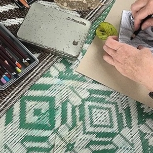 Field Notes - Exploring the Gardens Together image