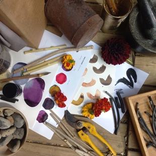 Make Eco Art Materials With Wild Studio image
