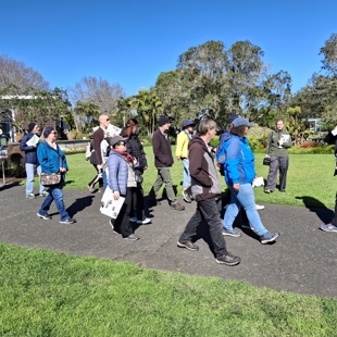 Curious Curator: a guided walk image