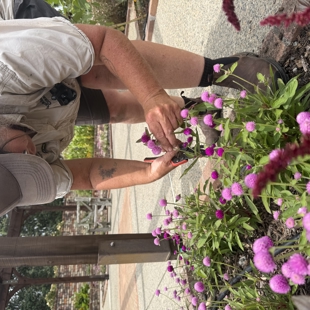 Meet the Gardener Edible Edition: 22 April image