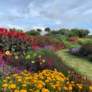 Seasonal stroll of the gardens image