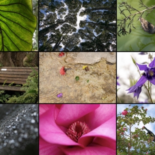 Children’s nature photography exhibition image