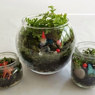 Tiny Terrariums for Kids image