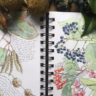 Adults Nature Journalling with Sandra Morris image