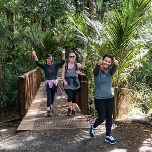 Aramex Kiwi Walk & Run Series at the Botanic Gardens image