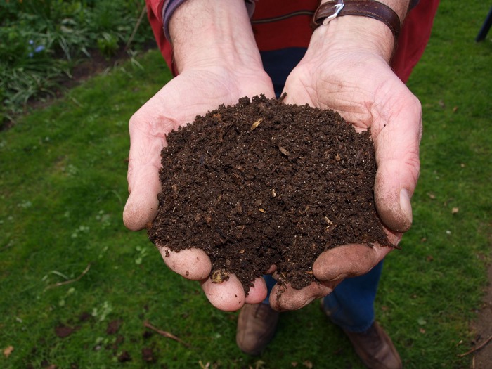 Compost And Hands