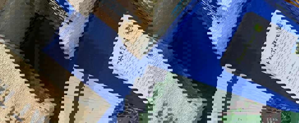  Image shows wooden pest traps with a sticker on top saying 'keep hands clear' alongside some brochures from Forest and Bird.