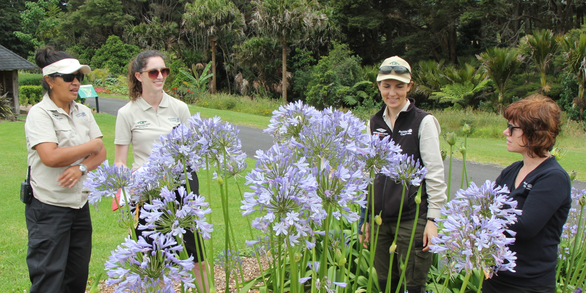 Trials are evaluated by a panel of experts