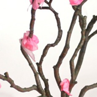 Make your own spring blossom tree image