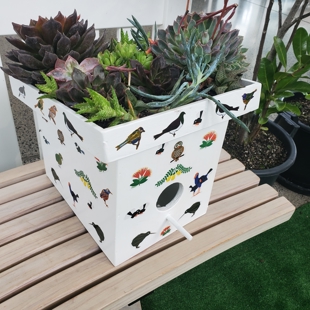 Living Roof exhibition image