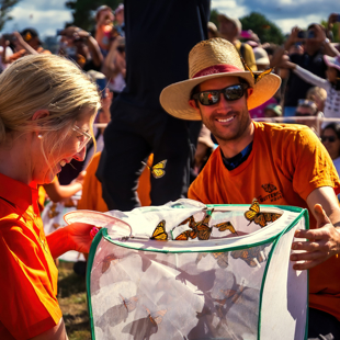 Monarch Butterfly release at Auckland Botanic Gardens image