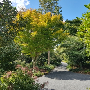 Autumn Guided Walk image