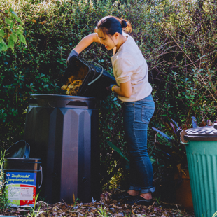 Composting made easy image