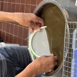 Botanical papermaking image