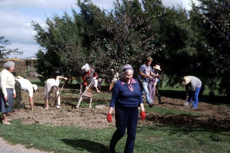 880057 Friends Planting Daffodils