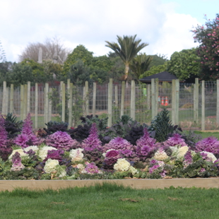 Drop and Learn: Plants on trial image