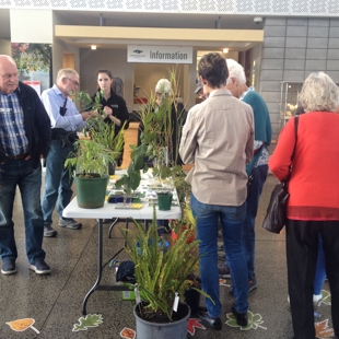 Ask an expert: pest plant edition image