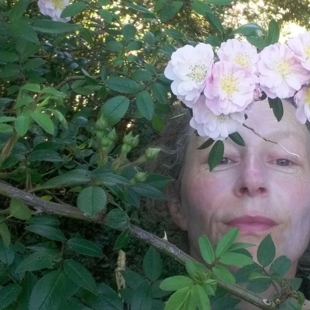 Create A Dance Based On A Garden! image