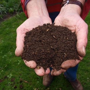 Composting basics workshop image