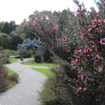 Mānuka Garden image