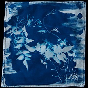 Cyanotype workshop with Elle Anderson image