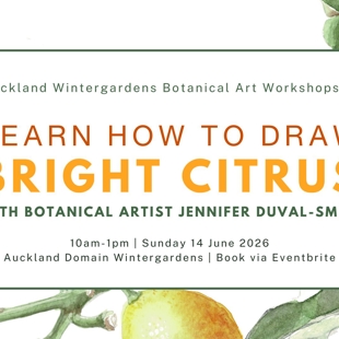 Learn To Draw Bright Citrus - Botanical Art Workshop image