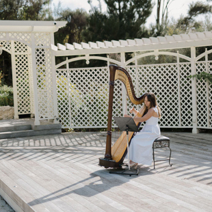 Summer music with harpist Louise Andrew image