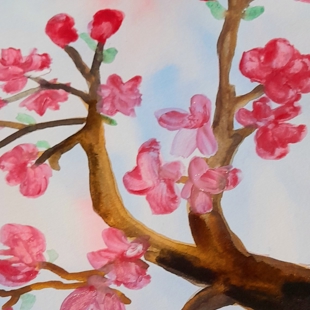 Watercolour blossoms image