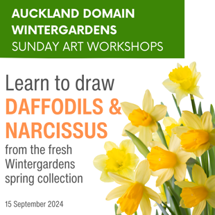 Spring Daffodils workshop - SOLD OUT image
